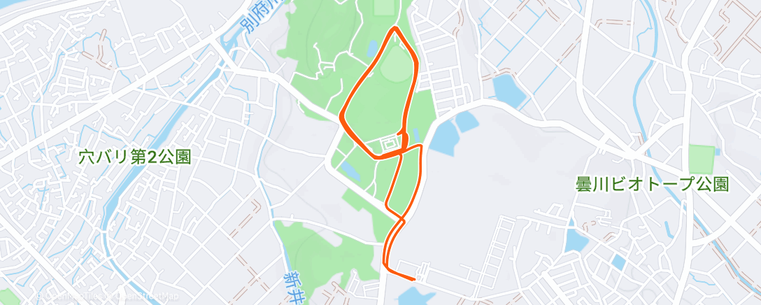Map of the activity, 夕方のランニング