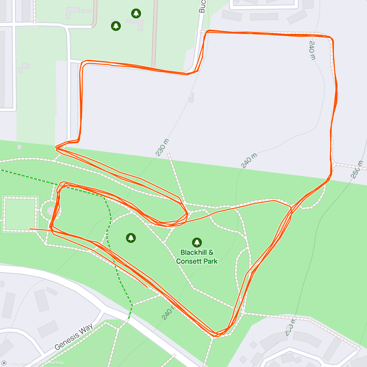 Map of the activity, Blackhill Parkrun #115