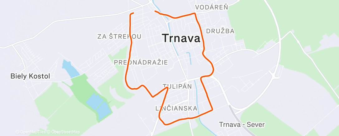 Карта физической активности (Afternoon Trail Run)