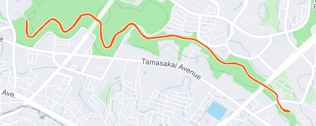 Map of the activity, Afternoon Run