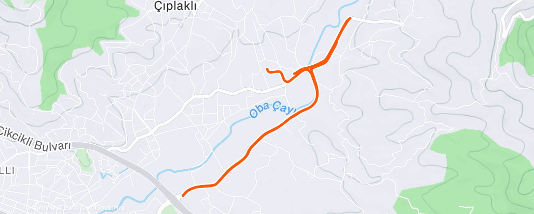 Map of the activity, Вечерний забег