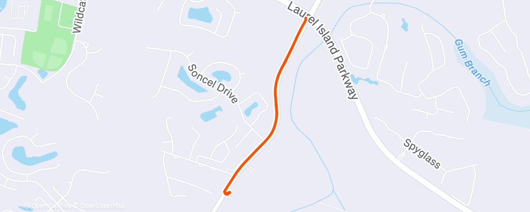 Map of the activity, Afternoon Walk