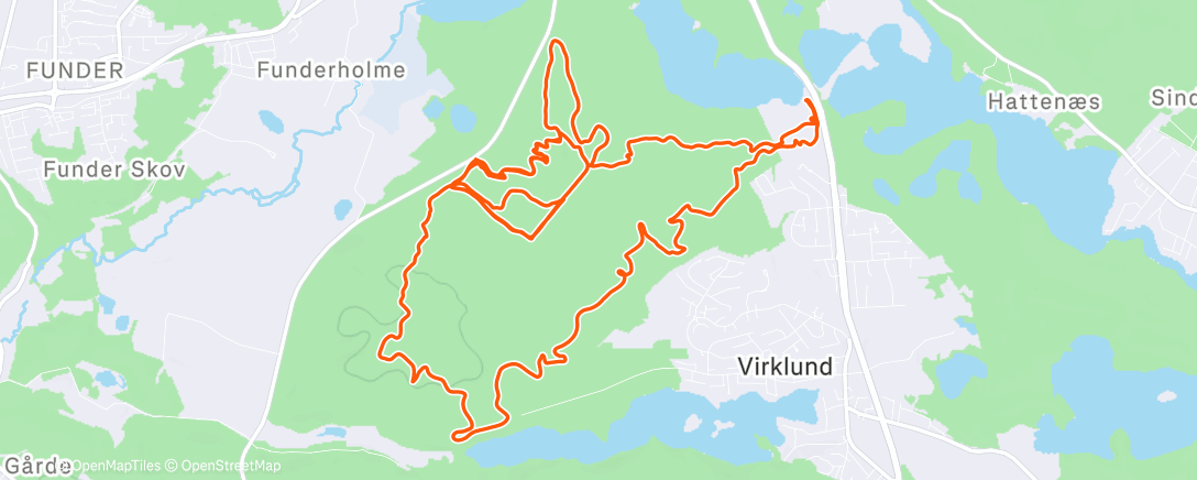 Карта физической активности (Vesterskov 🇩🇰)