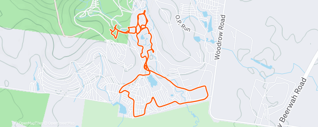 Карта физической активности (Morning Run)