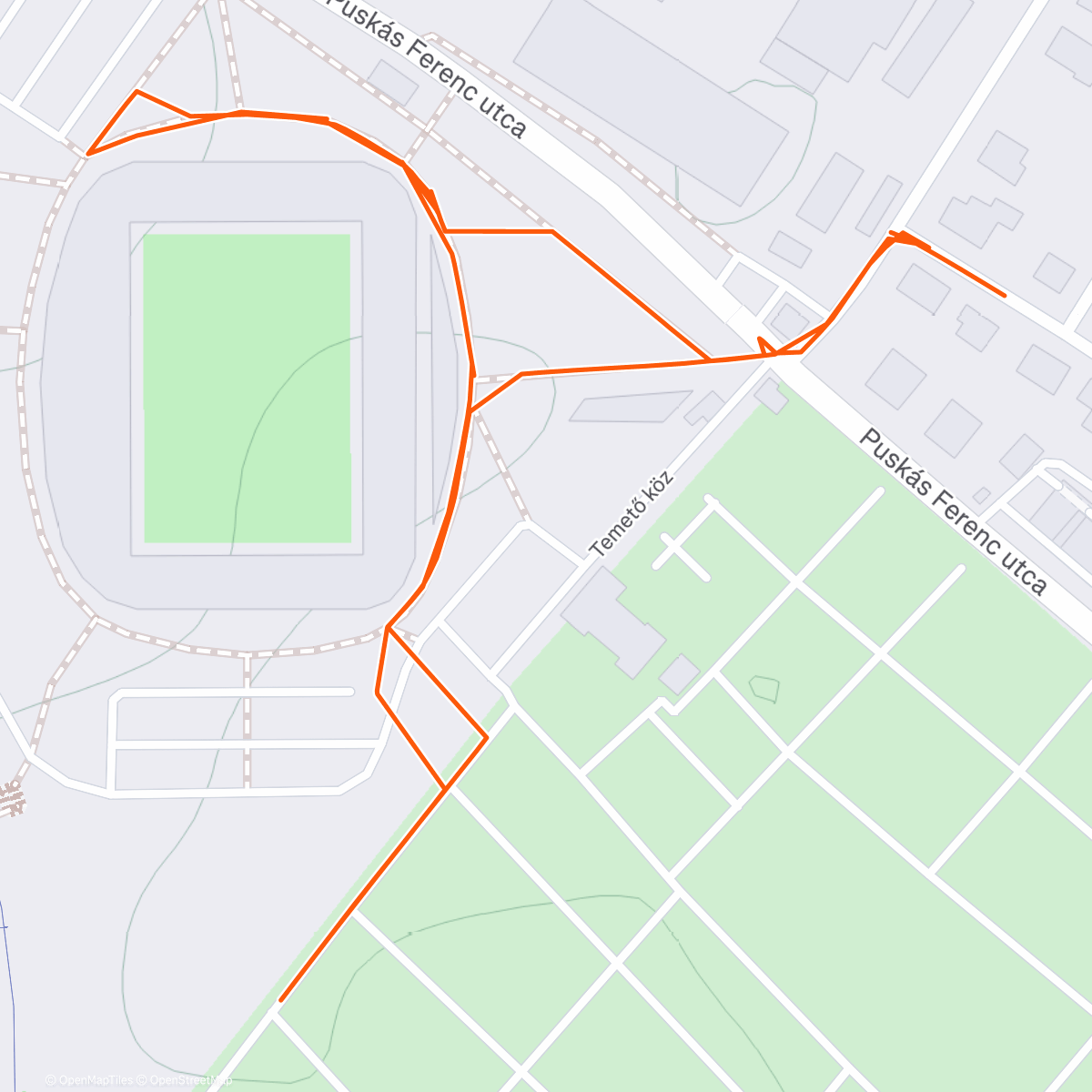 Карта физической активности (Hóesésben…🐶🌨️)