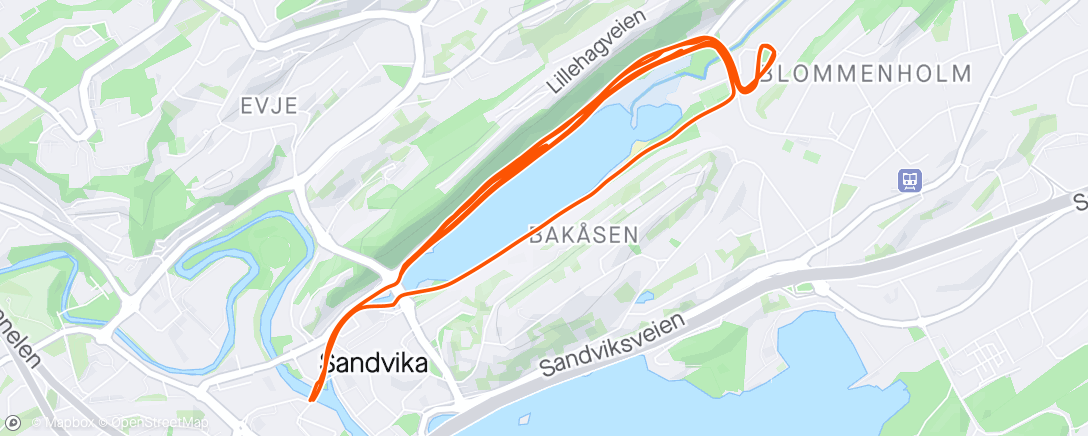 Map of the activity, 3x2km + 4x0,5km