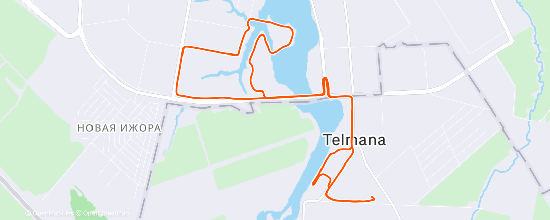 Карта физической активности (Дневной забег)