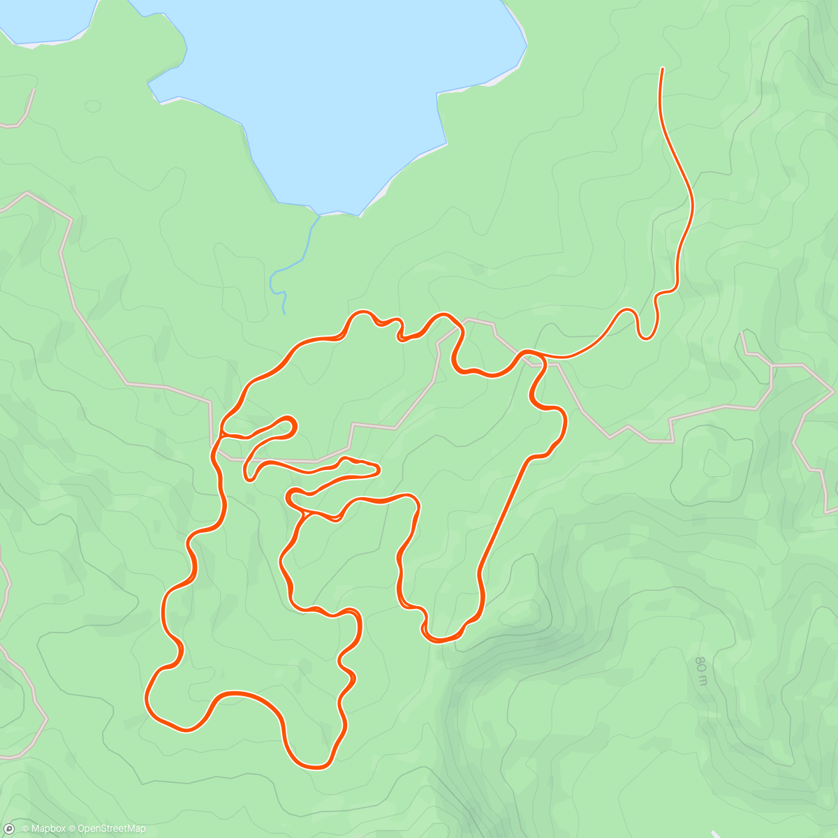 Map of the activity, Zwift - New Workout on Serpentine 8 in Watopia