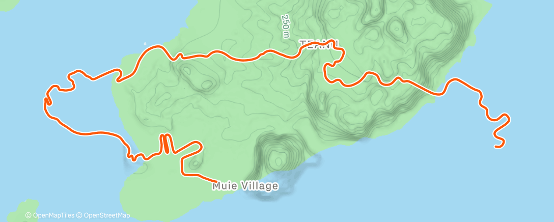 Карта физической активности (Zwift - Watopia's Waistband in Watopia)