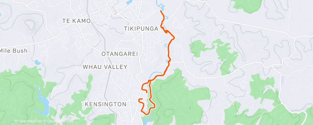Map of the activity, Morning Run