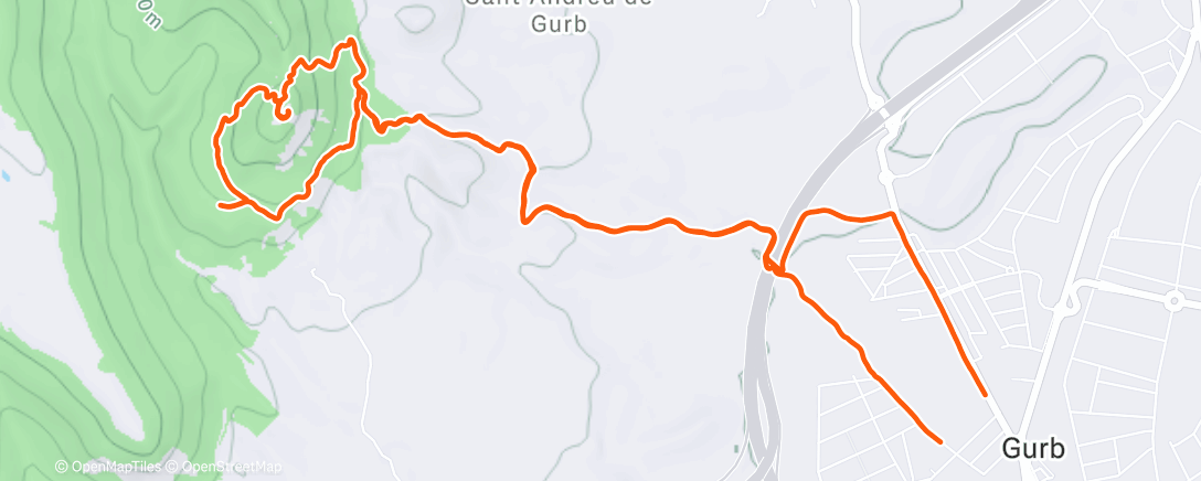 Mapa de la actividad (Morning Run)