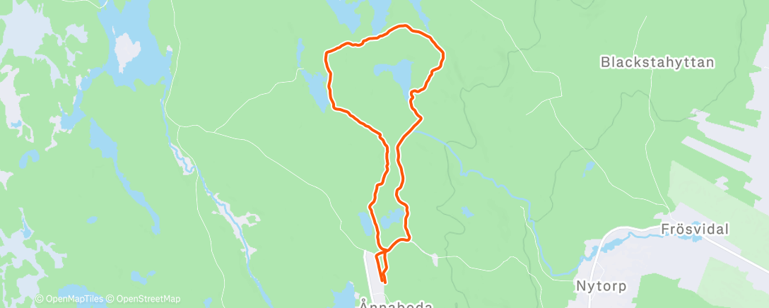 Карта физической активности (Afternoon Run)