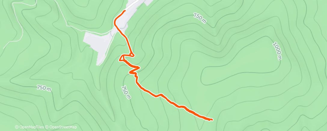 Карта физической активности (Lunch Trail Run)