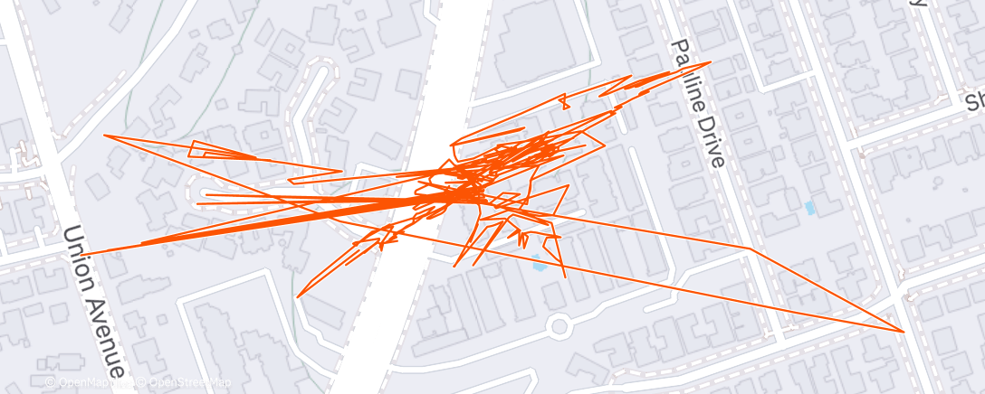 Map of the activity, Morning Run