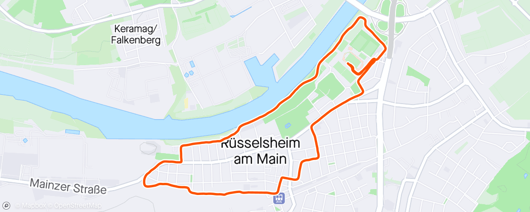 Map of the activity, Opel run 2024 🏃‍♂️🇩🇪
