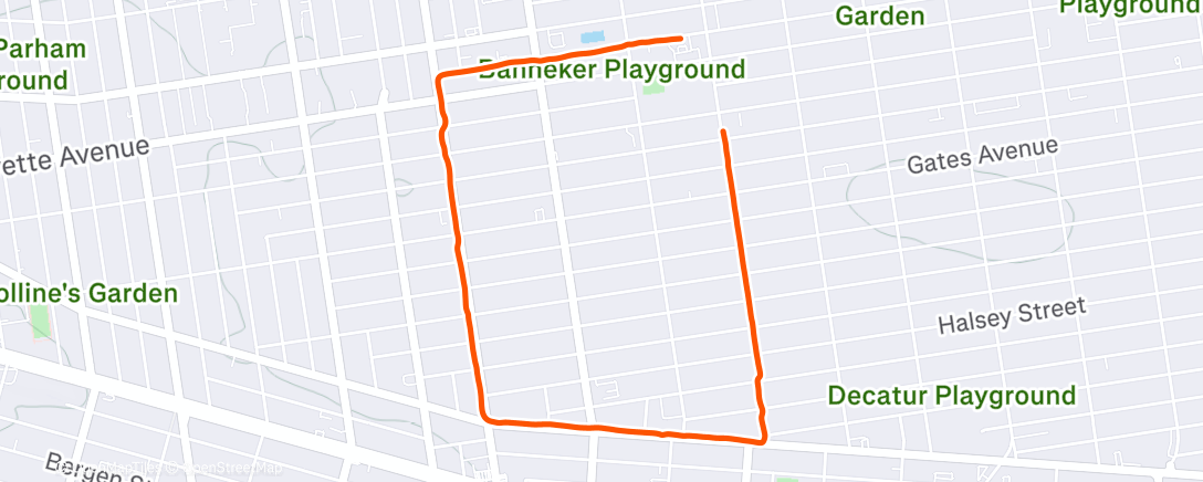 Map of the activity, Evening Run