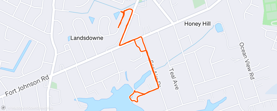 Map of the activity, Morning walk with C