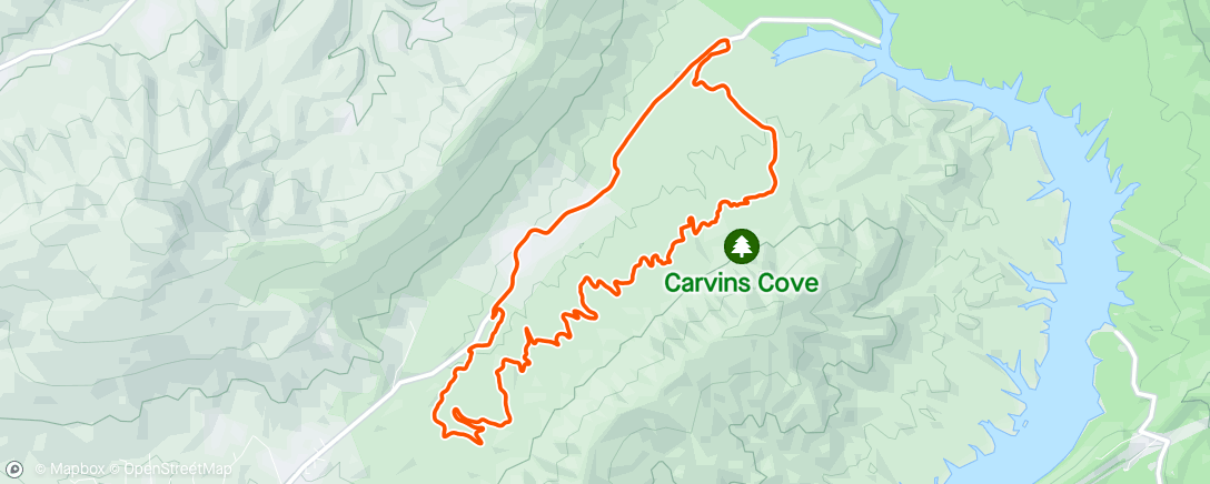Map of the activity, Intro to Carvins