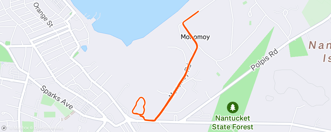 Map of the activity, Team Workout