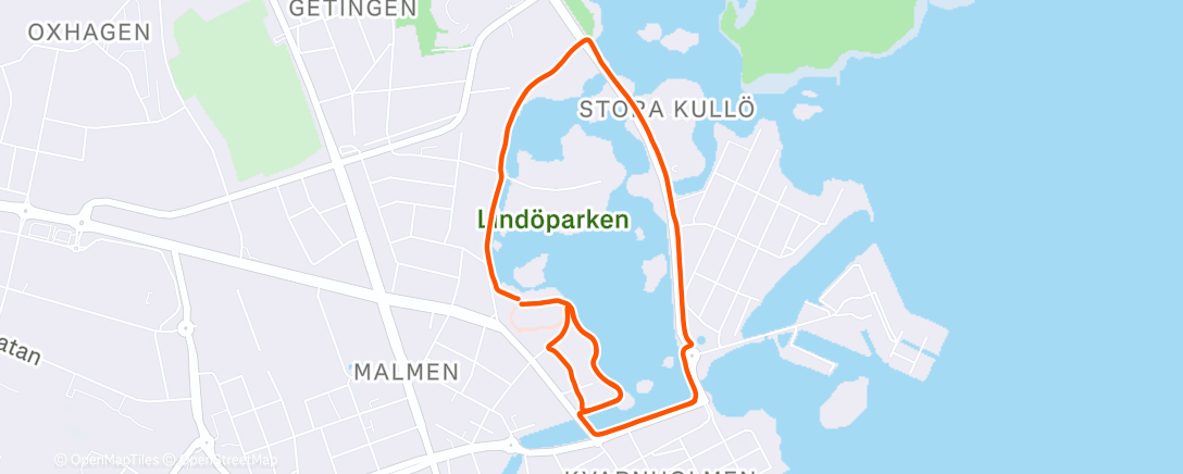 Map of the activity, Morning Run