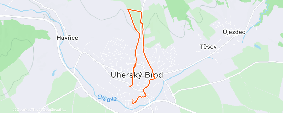 Map of the activity, Morning Run