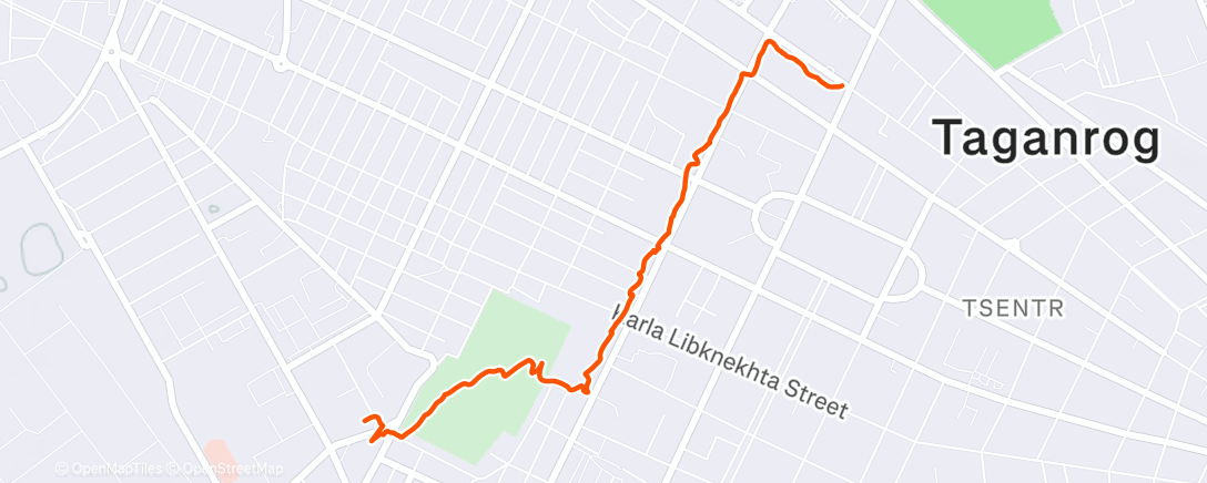 Карта физической активности (Afternoon Walk)