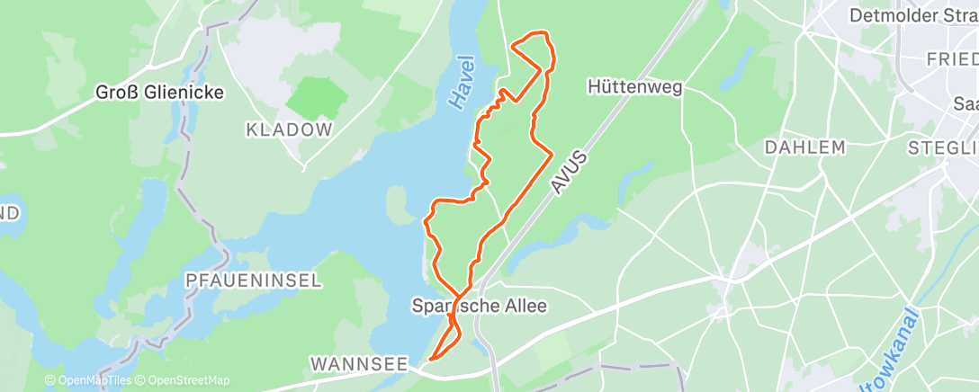 Map of the activity, Morning Trail Run