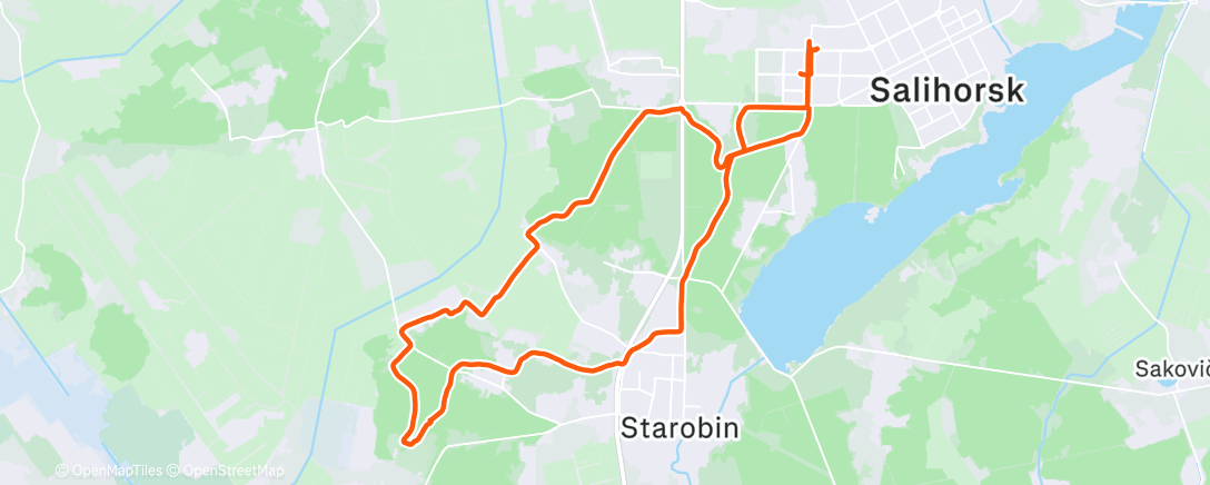 Map of the activity, Правильная Плянта