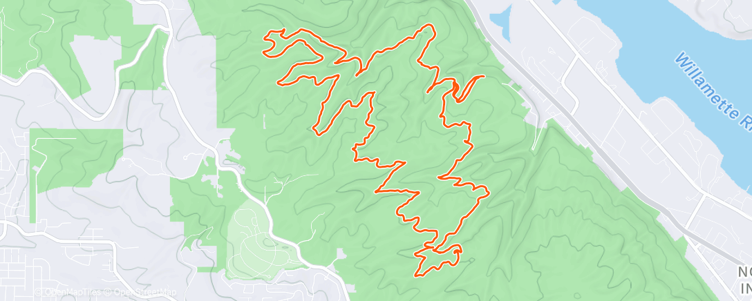 Карта физической активности (Morning Trail Run)