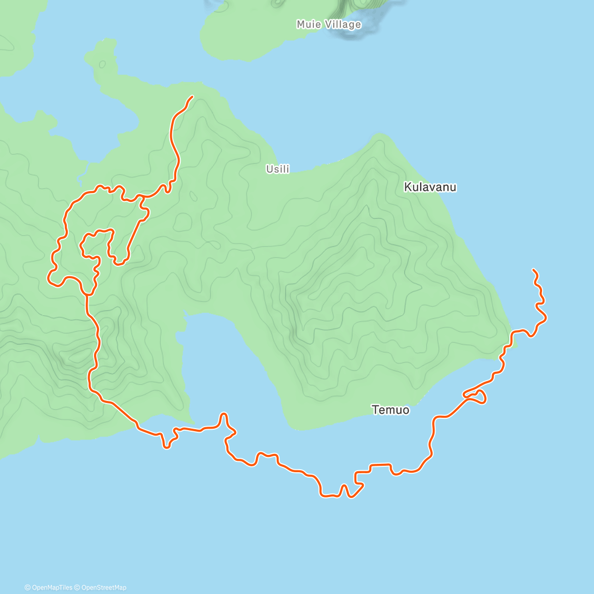 Карта физической активности (Zwift - Jungle Circuit in Watopia)