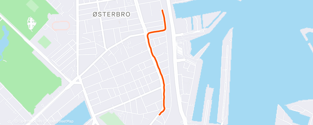 Карта физической активности (Morning Run)