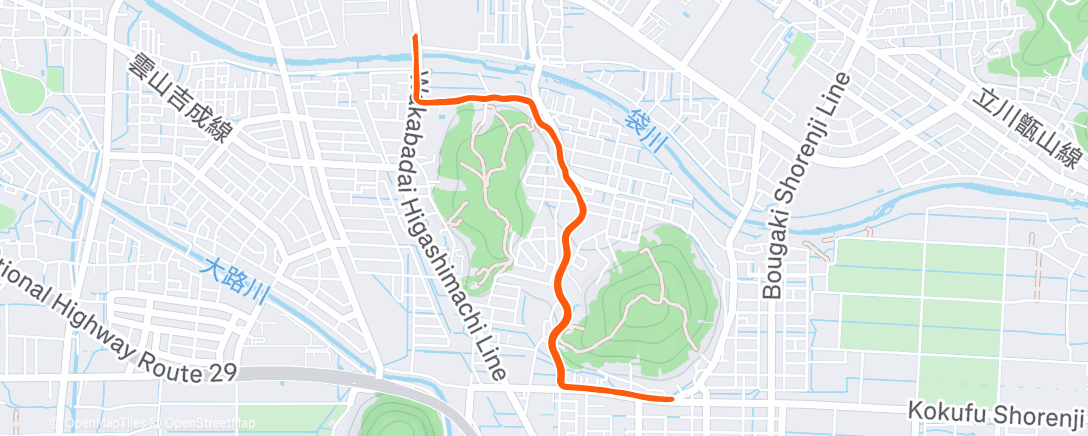 Map of the activity, 夜のランニング