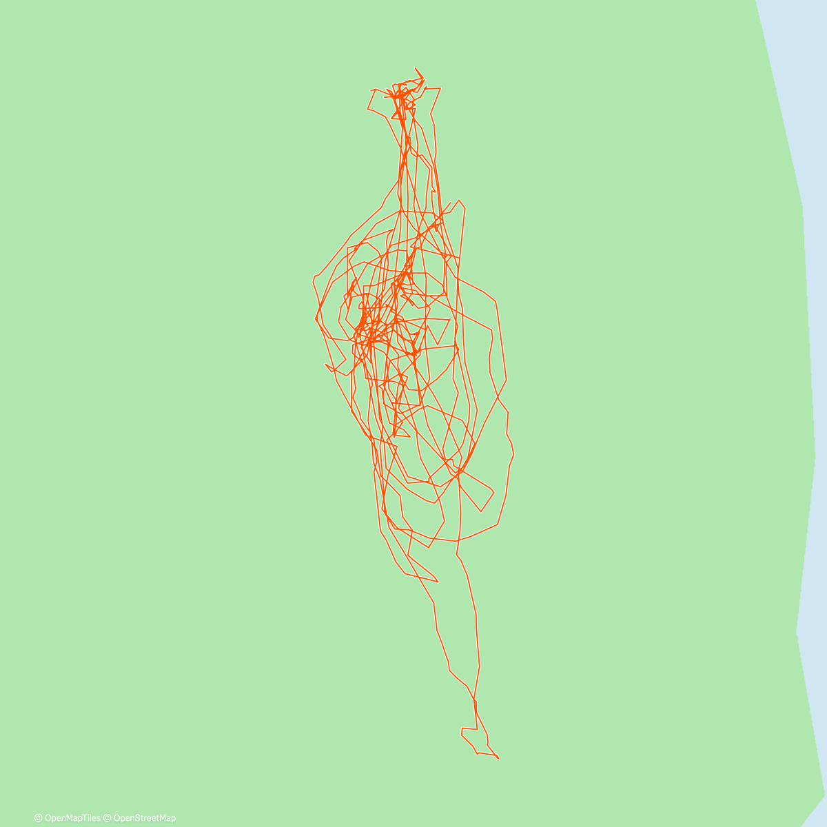 Карта физической активности (Řevnické tůně! ⛸️)