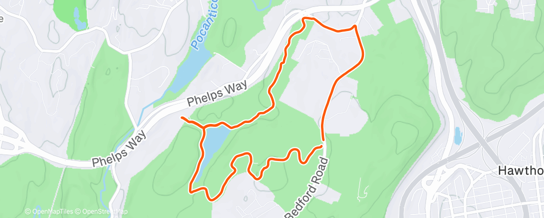 Map of the activity, Morning Run