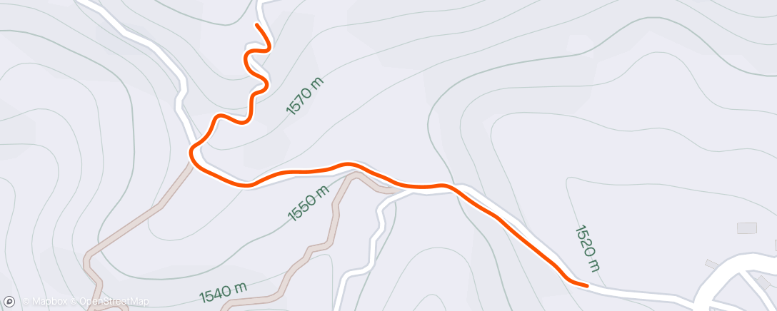 Mappa dell'attività 30.05.24: Afternoon Run