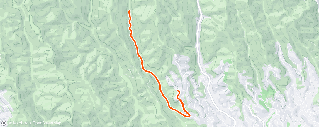 Map of the activity, Morning Run