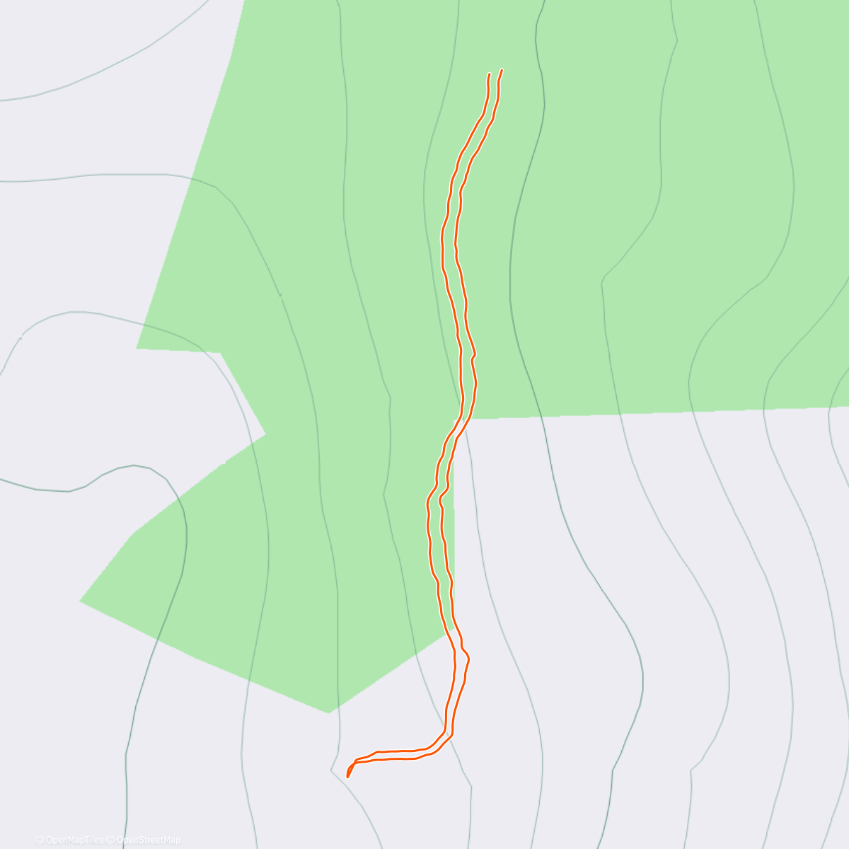 Map of the activity, Morning Walk