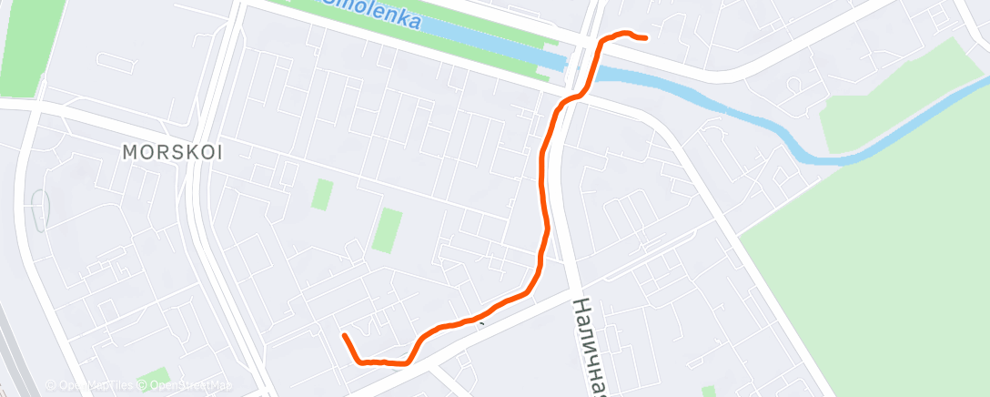 Карта физической активности (Дневная прогулка)