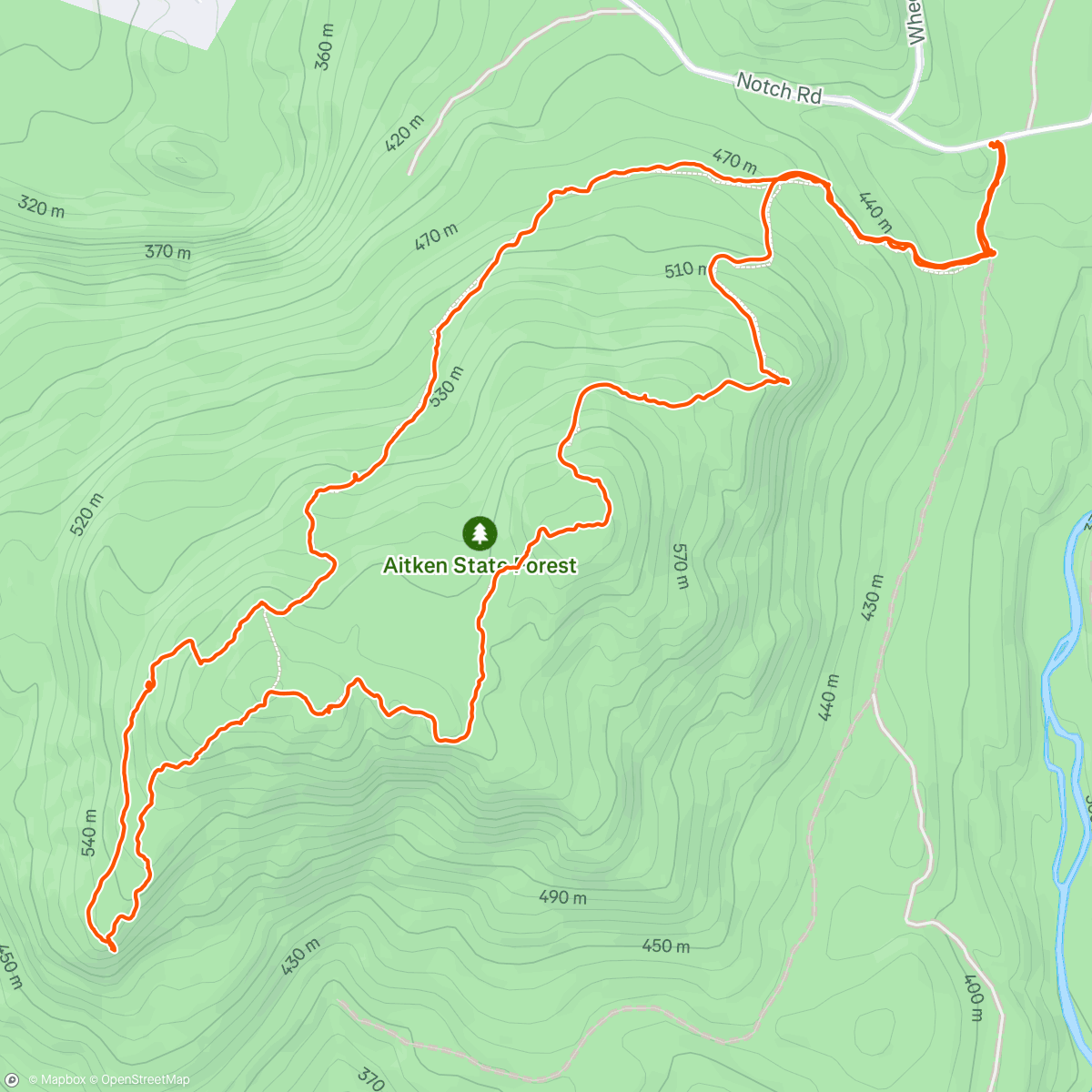 Map of the activity, Magic Toad Is Friend