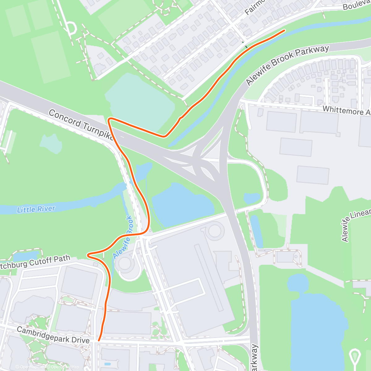 Карта физической активности (Blue Bikes are gravel bikes)