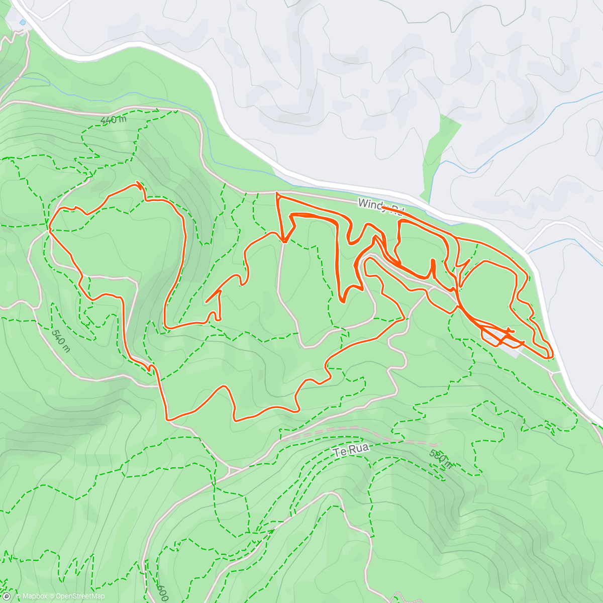 Map of the activity, Morning Ride with the family