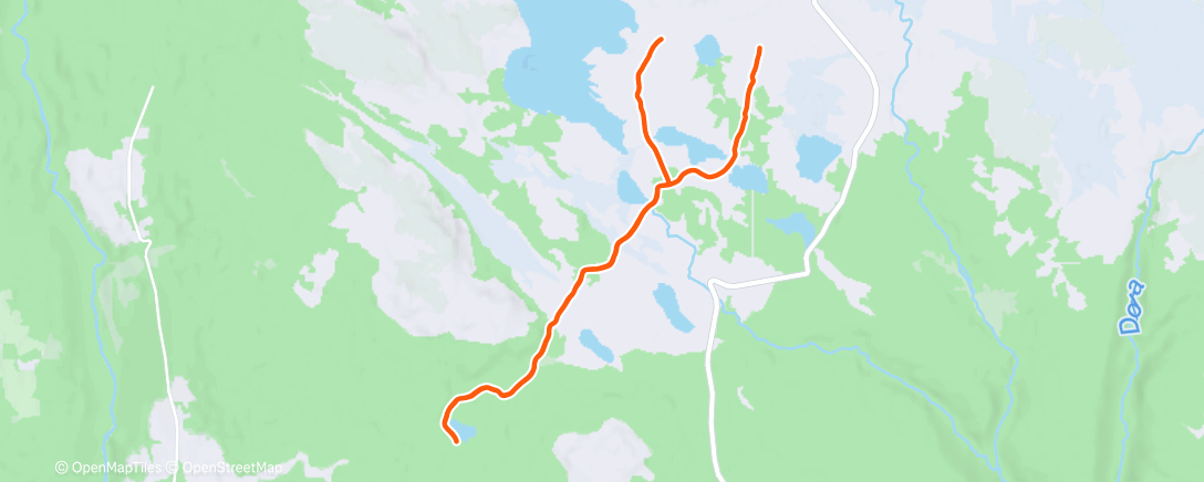 Карта физической активности (Morning Run)