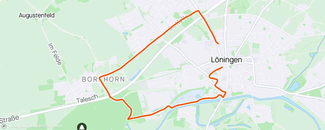 Map of the activity, Evening Run