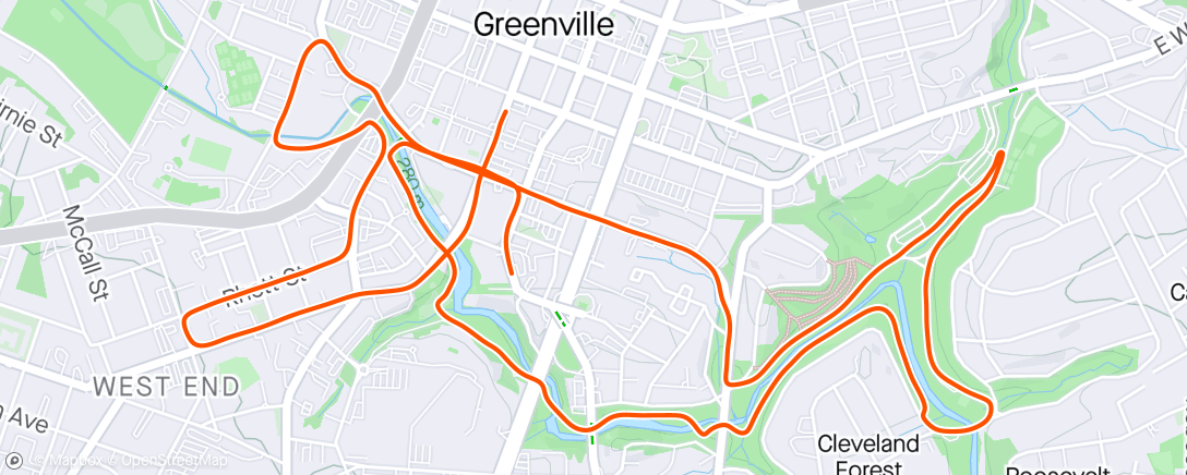 Map of the activity, Reedy River 10K.  Almost back to 100%