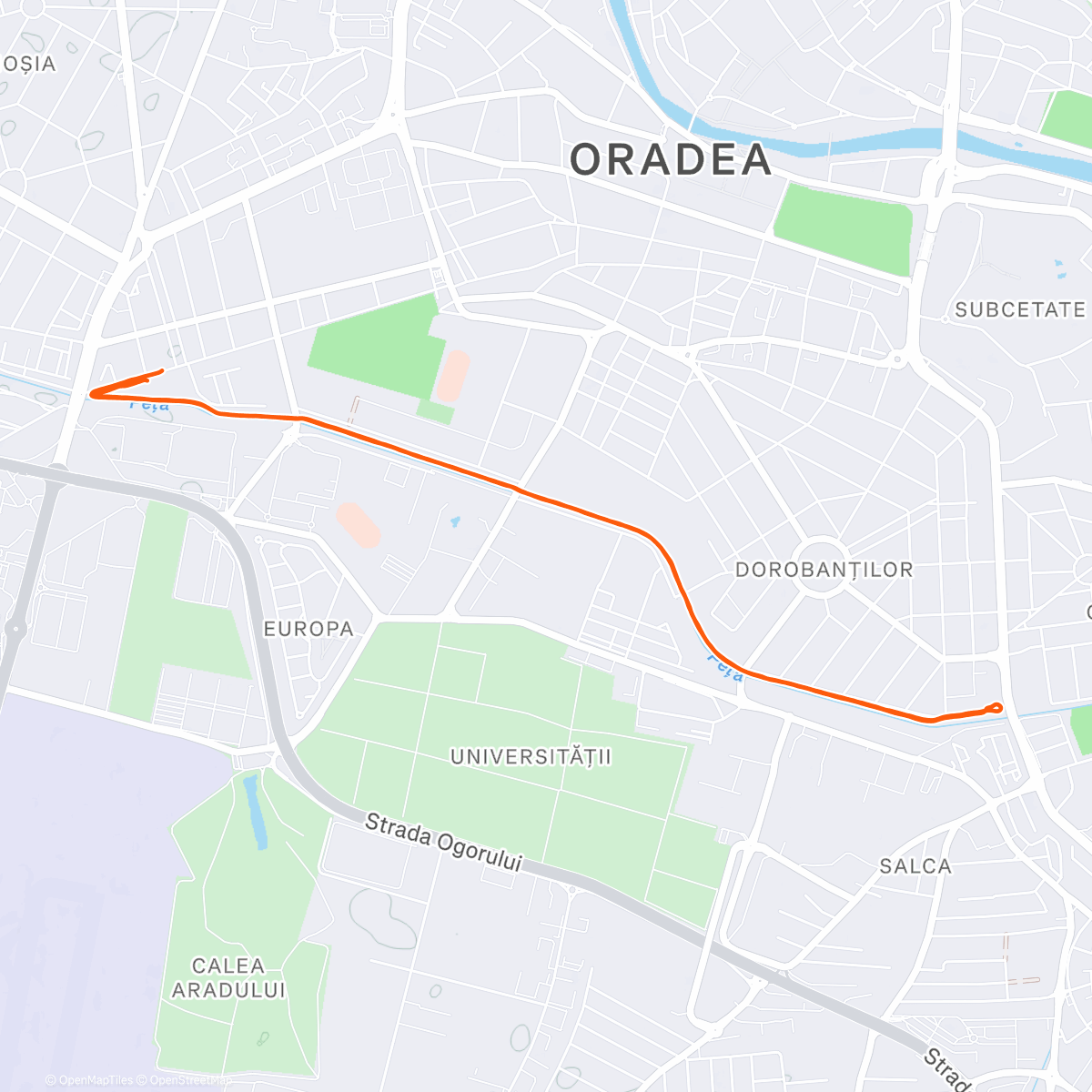 Mapa de la actividad (C295)