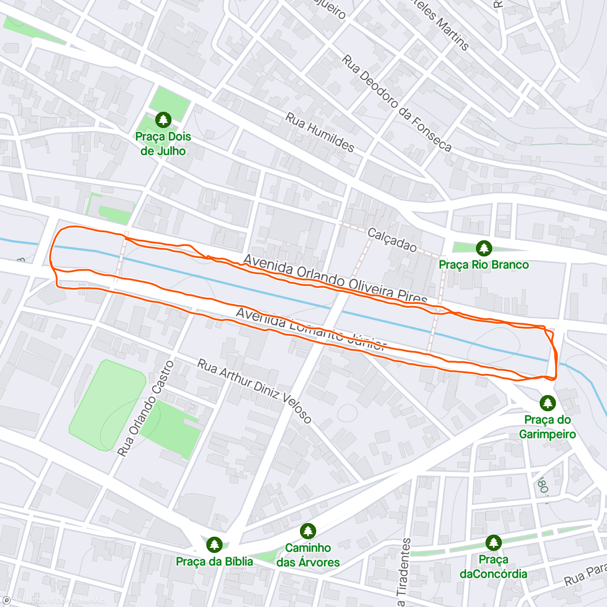 Map of the activity, Caminhada. 48/250.