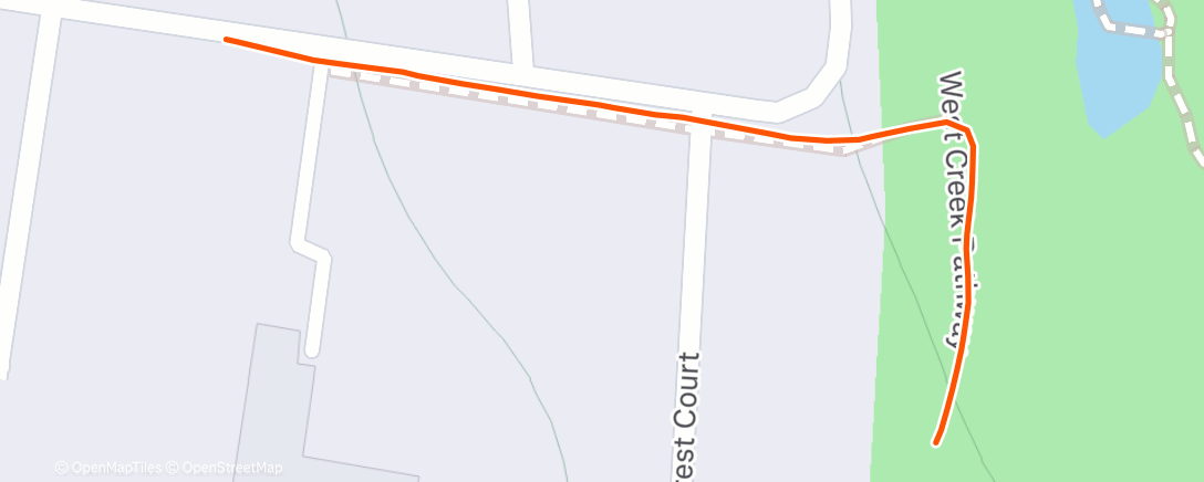 Карта физической активности (Evening Walk)