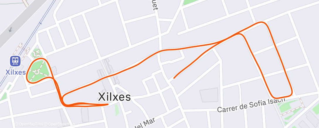 Карта физической активности (Evening Run)