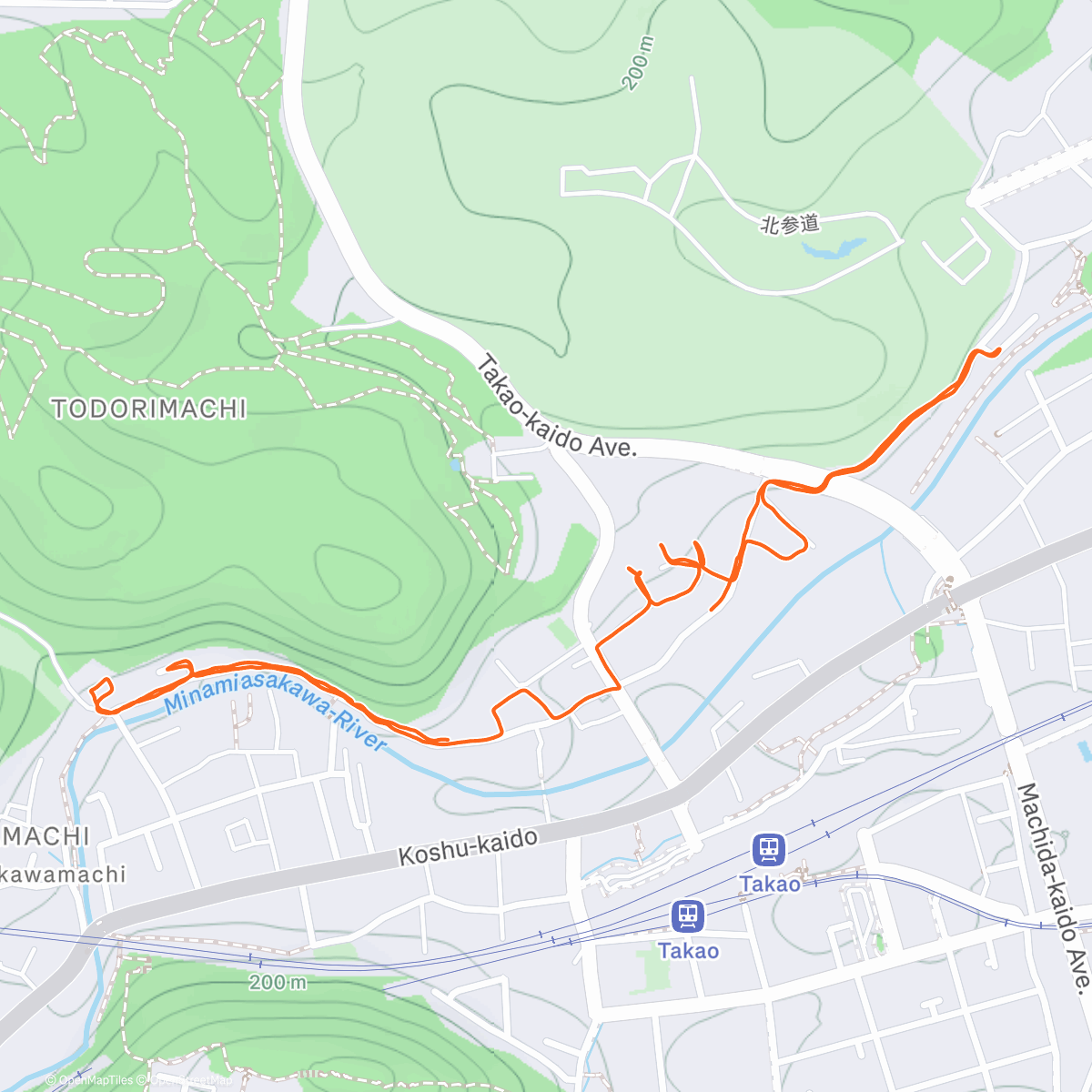 Карта физической активности (Year-end Fire Foot Patrol)