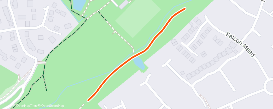 Map of the activity, Morning Run